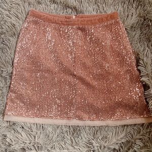 Free People Sparkly Skirt